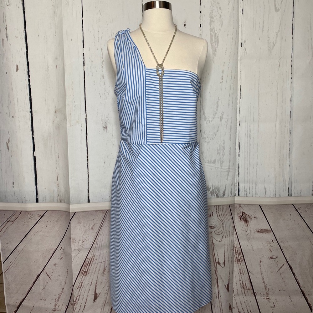 Banana Republic Blue Stripped One Shoulder Dress